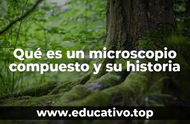 La evolución tecnológica del microscopio compuesto