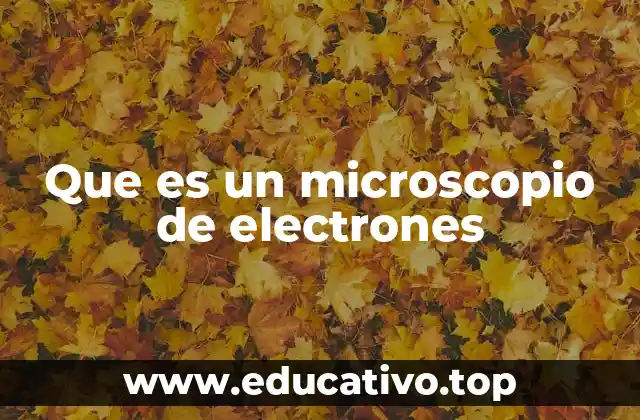 Que es un microscopio de electrones