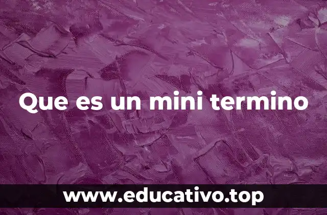 Que es un mini termino