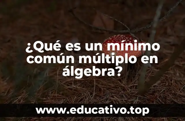 ¿Qué es un mínimo común múltiplo en álgebra?