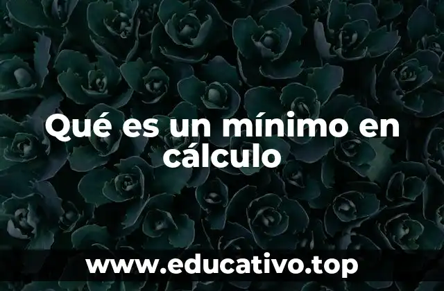 Qué es un mínimo en cálculo