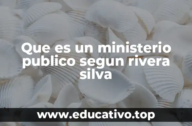 Que es un ministerio publico segun rivera silva