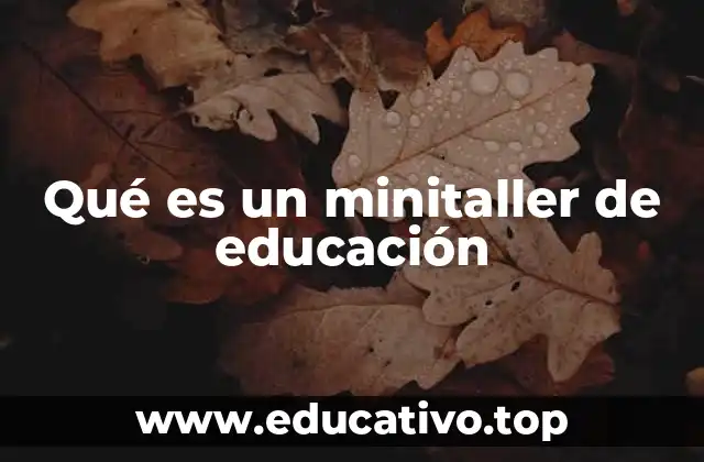 La importancia de los minitalleres en la educación actual