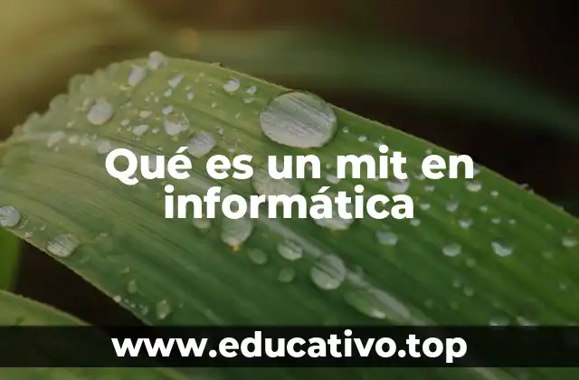 Qué es un mit en informática