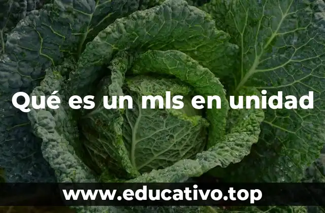 Qué es un mls en unidad