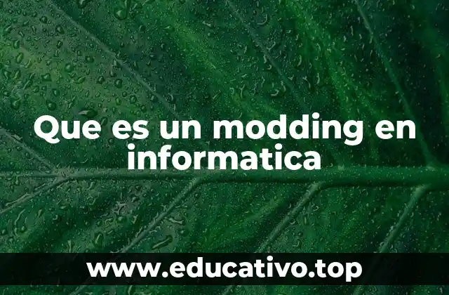 La evolución del modding en el mundo digital