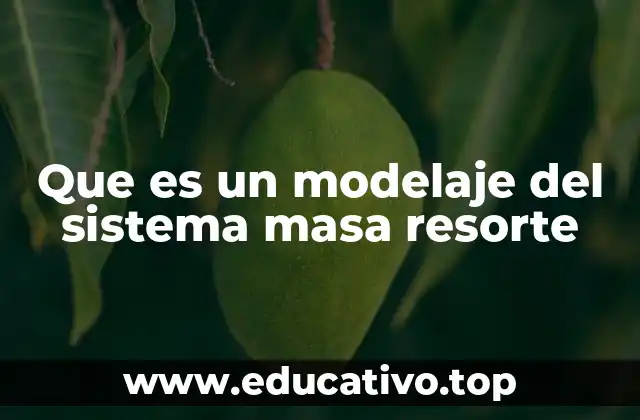 Que es un modelaje del sistema masa resorte
