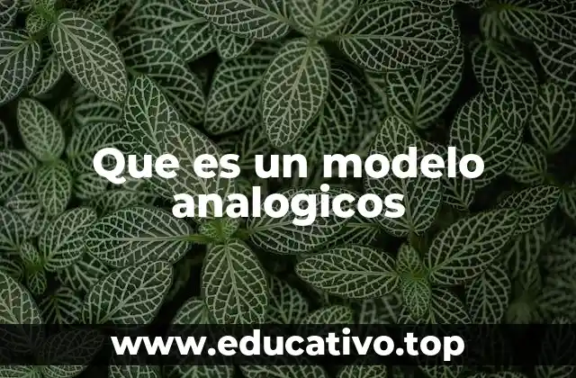 Que es un modelo analogicos