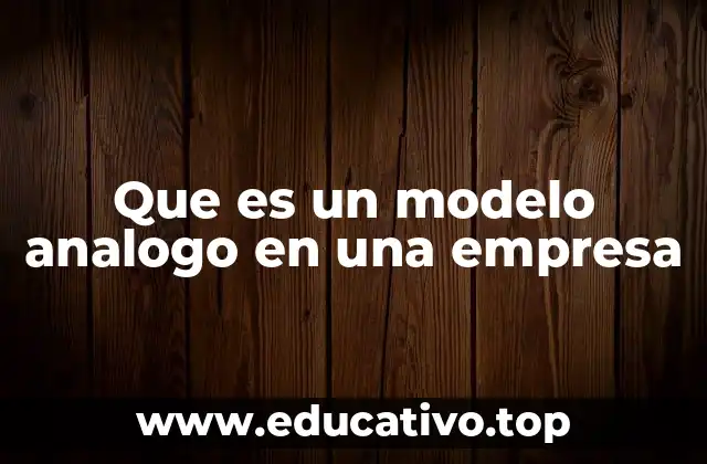 Que es un modelo analogo en una empresa