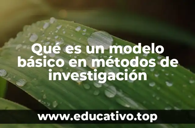 Qué es un modelo básico en métodos de investigación