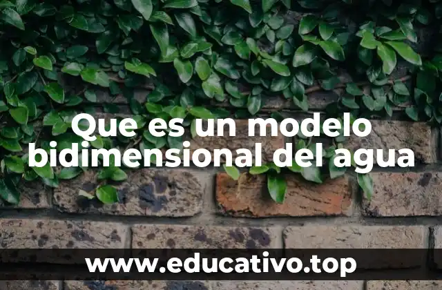 Que es un modelo bidimensional del agua