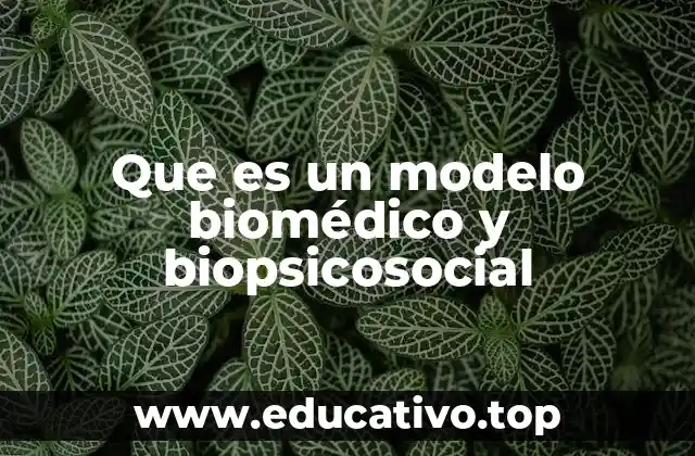 Que es un modelo biomédico y biopsicosocial
