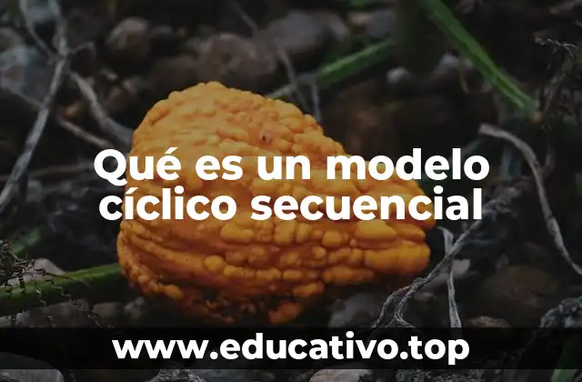 Qué es un modelo cíclico secuencial