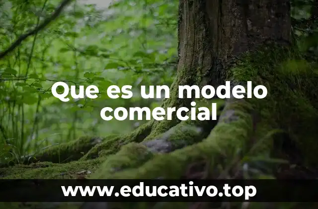 Que es un modelo comercial