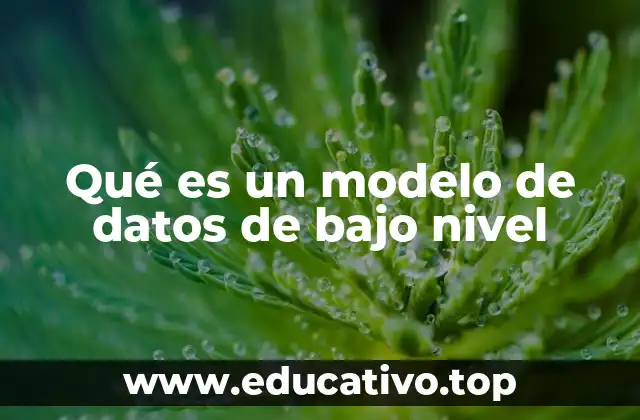 Qué es un modelo de datos de bajo nivel