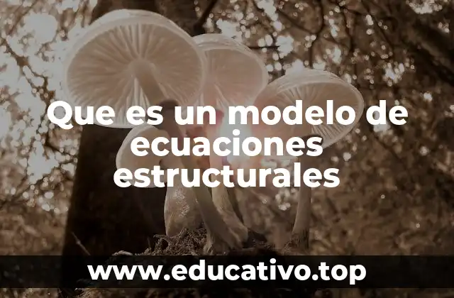 Que es un modelo de ecuaciones estructurales