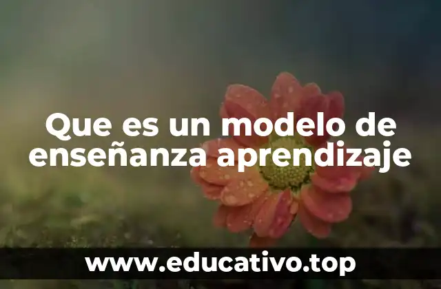 Que es un modelo de enseñanza aprendizaje