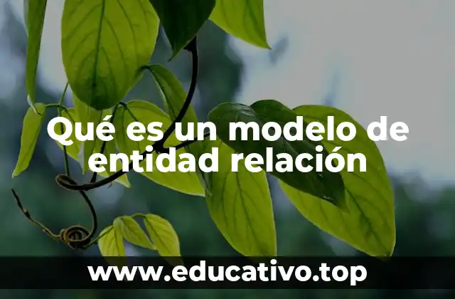 Qué es un modelo de entidad relación