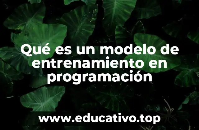 Qué es un modelo de entrenamiento en programación
