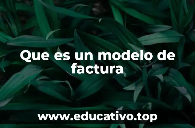 Que es un modelo de factura