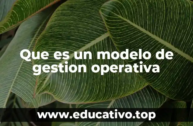 Que es un modelo de gestion operativa
