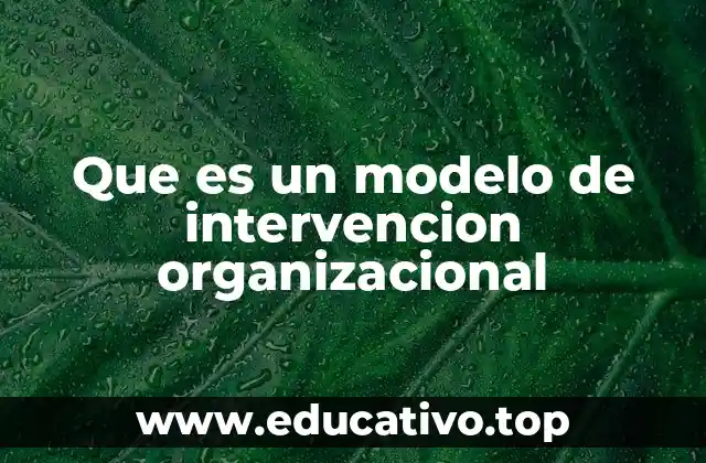 Que es un modelo de intervencion organizacional