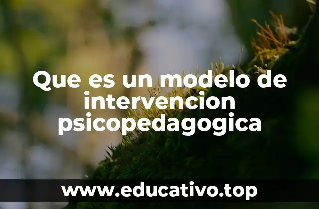 Que es un modelo de intervencion psicopedagogica
