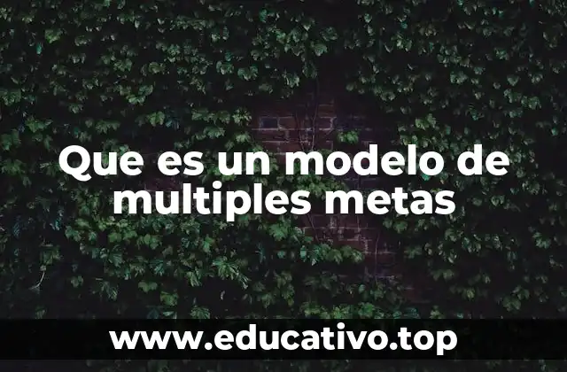 Que es un modelo de multiples metas