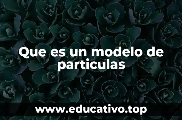 Que es un modelo de particulas