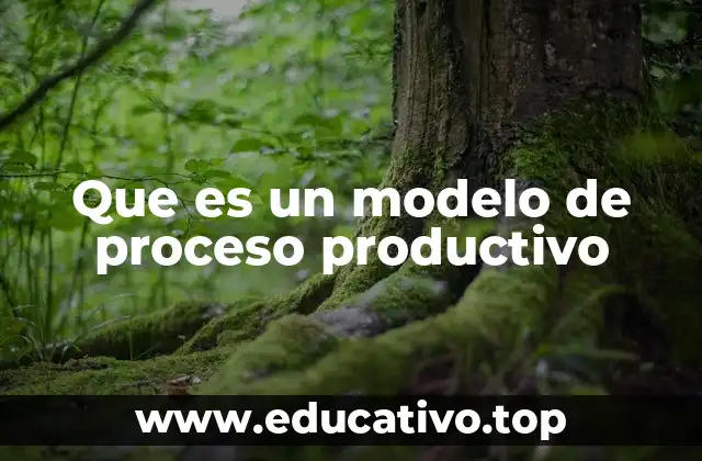 Que es un modelo de proceso productivo
