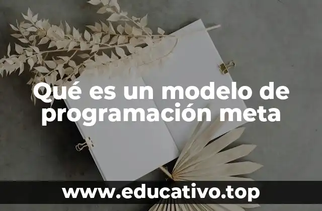 Qué es un modelo de programación meta