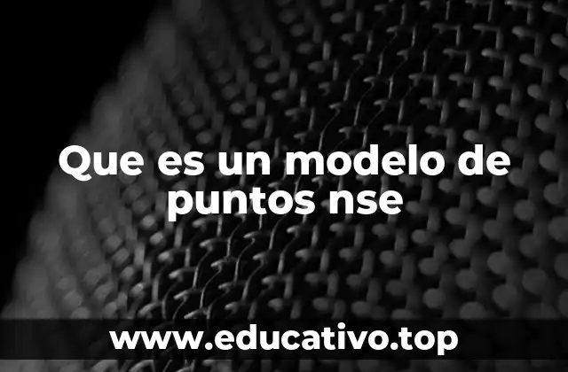 Que es un modelo de puntos nse