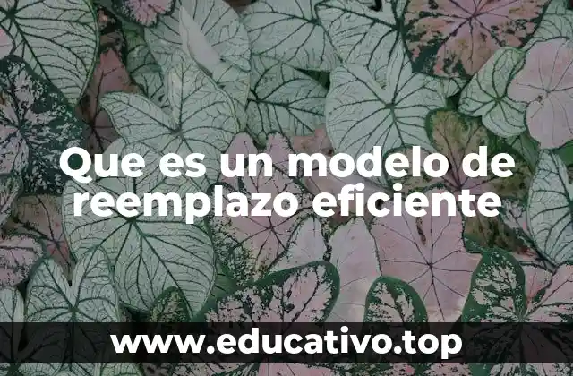 Que es un modelo de reemplazo eficiente