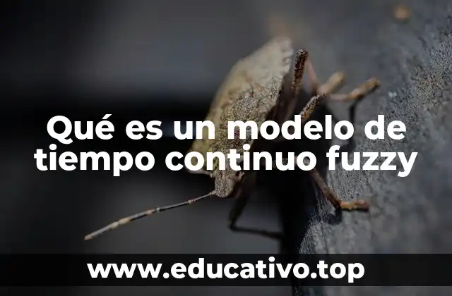 Qué es un modelo de tiempo continuo fuzzy