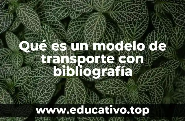 Qué es un modelo de transporte con bibliografía