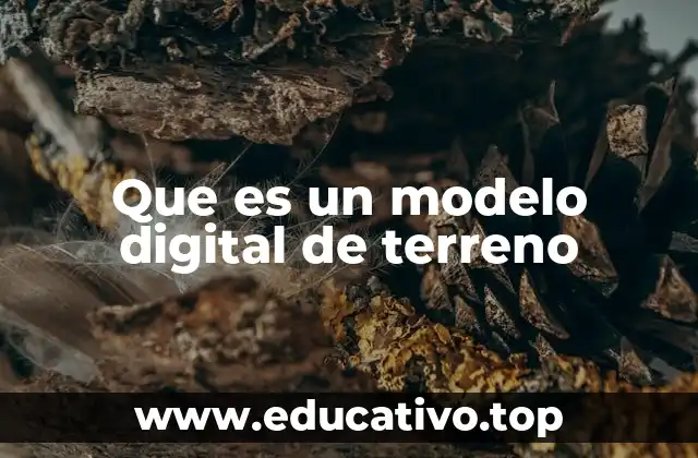 Que es un modelo digital de terreno