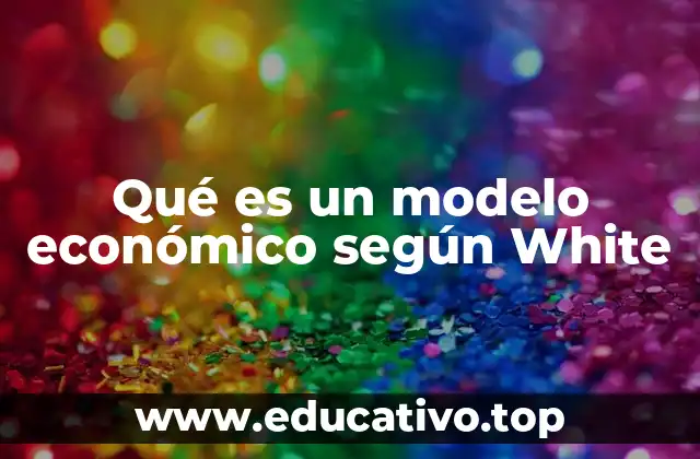 Qué es un modelo económico según White