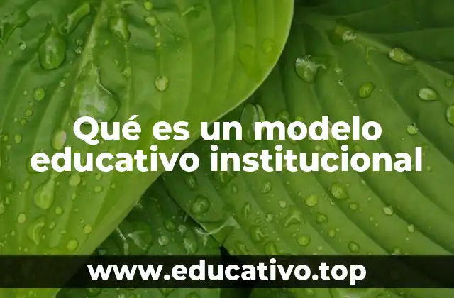 Qué es un modelo educativo institucional