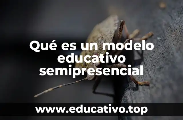 Qué es un modelo educativo semipresencial
