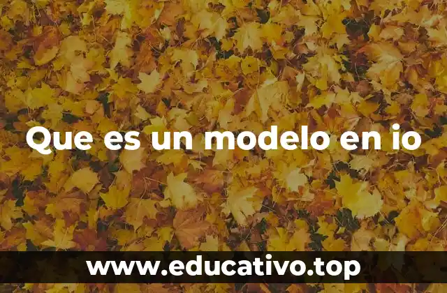 Que es un modelo en io