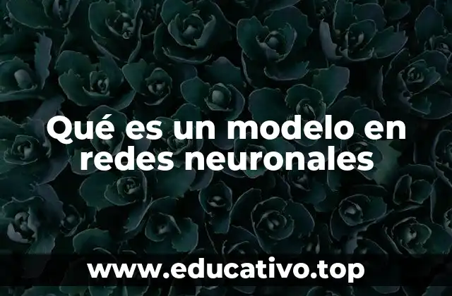 Qué es un modelo en redes neuronales