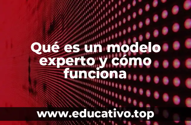 Qué es un modelo experto y cómo funciona