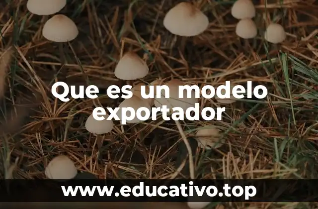 La importancia de las exportaciones en la economía