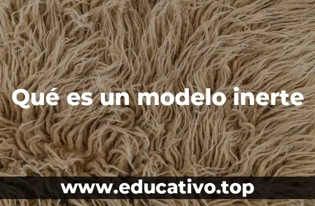 Qué es un modelo inerte