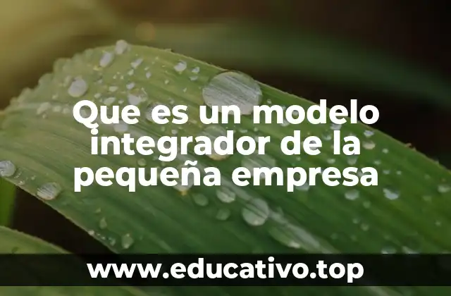 Que es un modelo integrador de la pequeña empresa