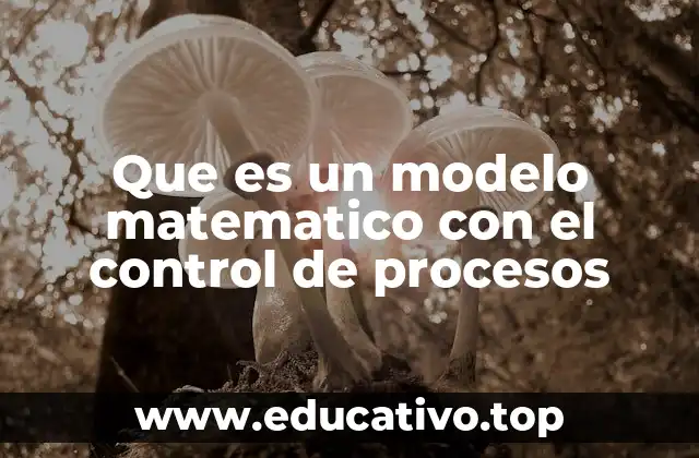 Cómo los modelos matemáticos describen sistemas reales