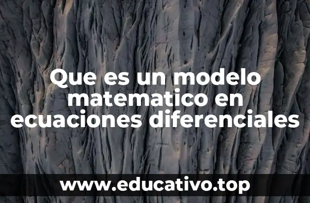 La importancia de los modelos dinámicos en la ciencia