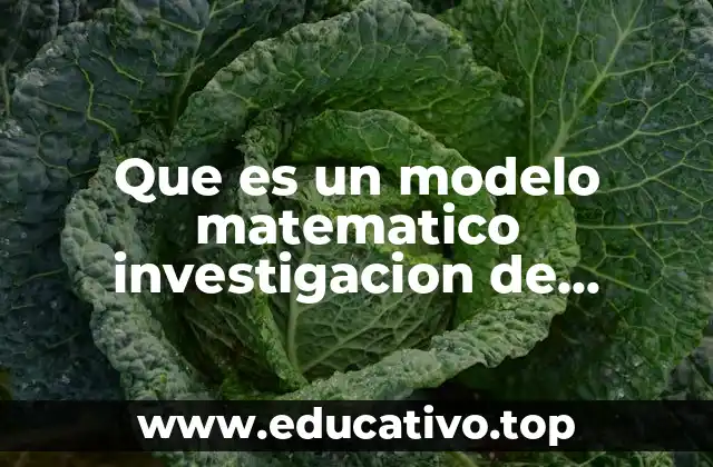 Que es un modelo matematico investigacion de operaciones