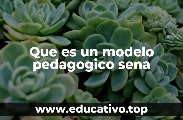 Que es un modelo pedagogico sena