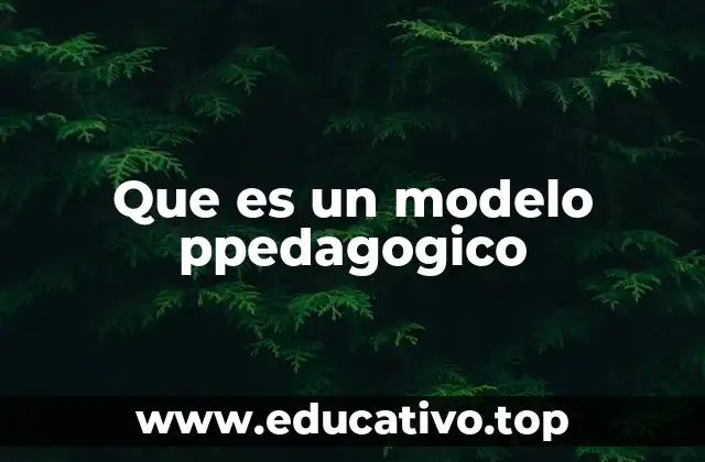 Que es un modelo ppedagogico